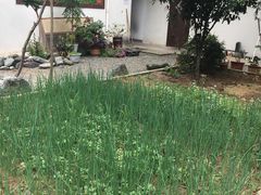 -柞水乾佑红门家菜