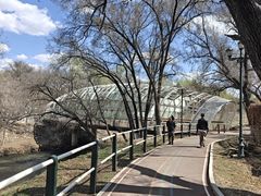 -黛秀湖公园