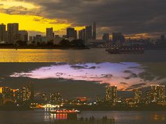 -台场海滨公园船码头