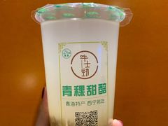 甜醅-德禄酸奶(莫家街店)