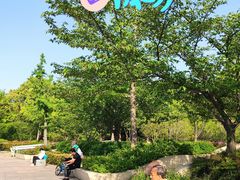 -新江湾城公园