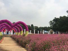 -松山湖梦幻百花洲
