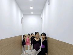 -西安小天鹅艺术团(金花路校区)