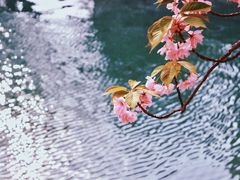 -颐和园