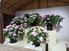 -共青国家森林公园-南大门停车场