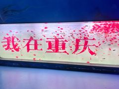 -重庆欢乐海底世界