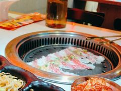 -杨记齐齐哈尔烤肉(总店)