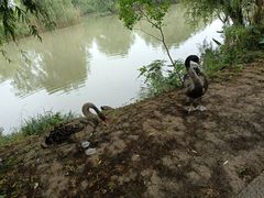 -长兴太湖图影湿地文化园