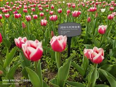 -国家植物园