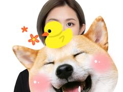 -iF摄影•全家福•证件照•形象照(南山店)