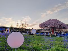 -北京鹿世界主题园