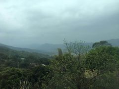 -安溪清水岩