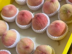 -老袁家蜜桃农场·阳山水蜜桃