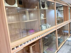 -钦宠·猫咪售卖·洗护·寄养(东圃旗舰店)