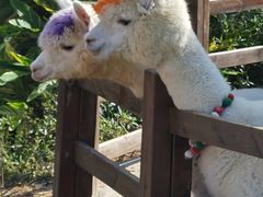 -珠海海泉湾神秘岛亲子乐园