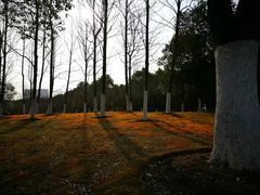 -白塘生态植物园