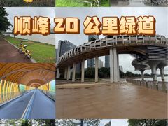 -顺峰山公园