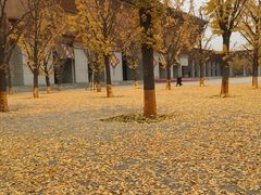 -法门文化景区