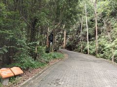 -滴水岩森林公园