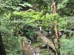 -藏龙百瀑风景区