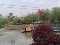 -大队长大灶鹅