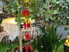 -高坎一品甲鱼庄(两河店)