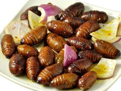 -丹东特色烤肉(南光三部店)