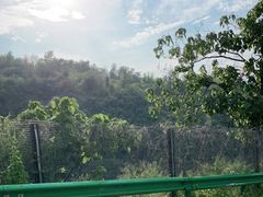 -伏羲山旅游区
