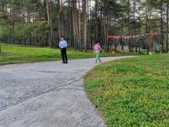 -玉泉威虎山森林公园