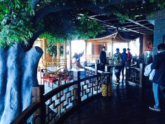 -华西村