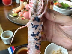 -和彩放题餐厅(酒仙桥店)