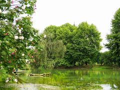 -贵阳市花溪国家城市湿地公园