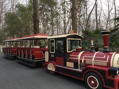 -合肥滨湖国家森林公园