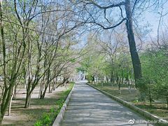 -黑龙江中医药大学