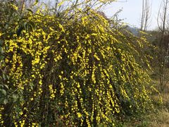 花溪十里河滩湿地公园-贵阳市花溪国家城市湿地公园