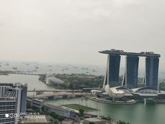 -新加坡瑞士史丹福酒店