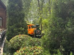 -合肥滨湖国家森林公园