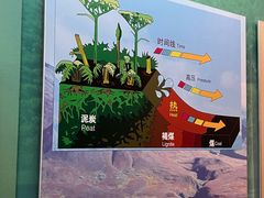 -大同煤炭博物馆