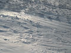 -中旅松花湖滑雪场