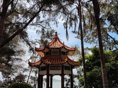 -宋井风景区