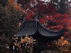 -留园