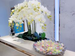 -MIVI野生眉纹绣纹眉