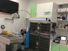 -汪喵宠物医院·骨科心脏影像·犬猫急重症ICU诊疗中心(成华分院)