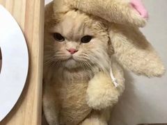 -CHARLES&KEITH(城西银泰店)