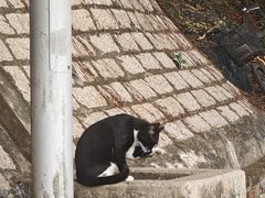 -大澳渔村及棚屋