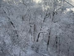 -长白山万达国际滑雪场