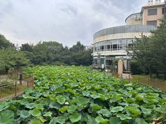 -上海市龙华烈士陵园