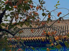 -北京石刻艺术博物馆(五塔寺)