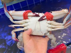 -鱼市酒店(威海水产批发市场店)