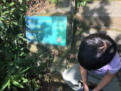 -七仙岭温泉国家森林公园